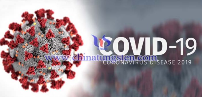 CT鎢合金準直器圖片