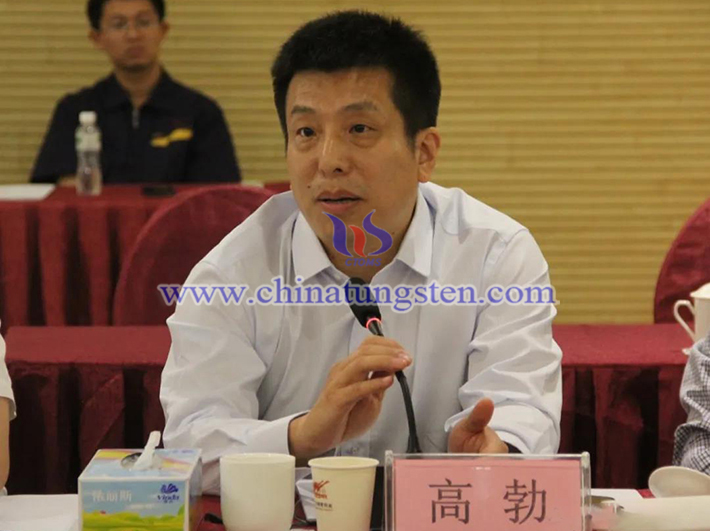 中國鎢業(yè)協(xié)會主席團主席、中鎢高新材料股份有限公司副總經(jīng)理高勃