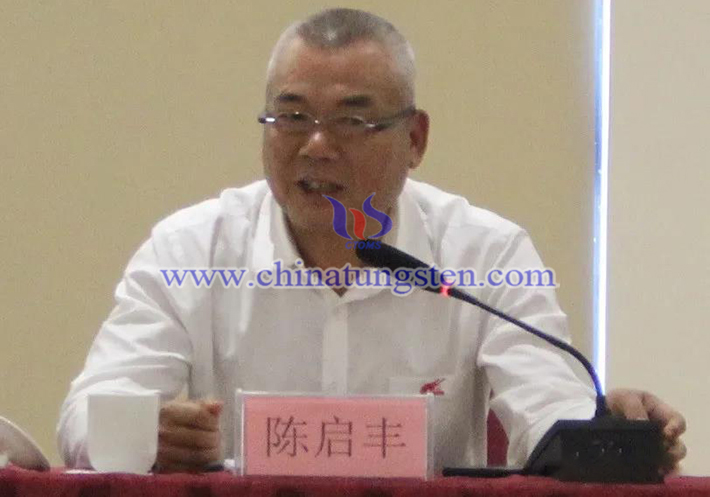 中國鎢業(yè)協(xié)會主席團執(zhí)行主席、廣東翔鷺鎢業(yè)股份有限公司董事長陳啟豐