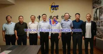 葛紅林書(shū)記一行到鎢協(xié)調(diào)研指導(dǎo)工作圖片