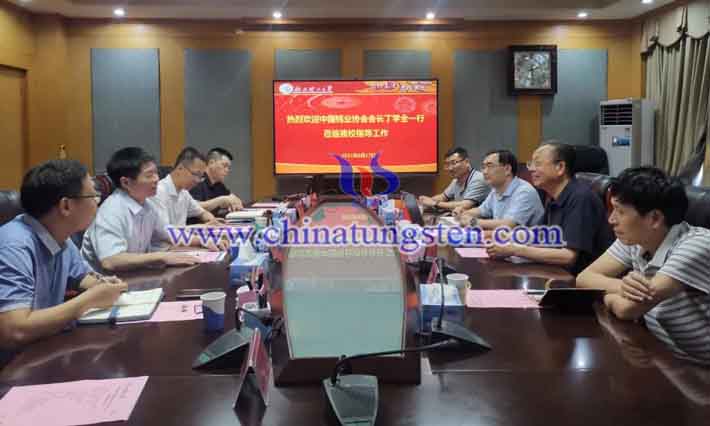鎢協(xié)會長丁學全一行到江西調(diào)研圖片