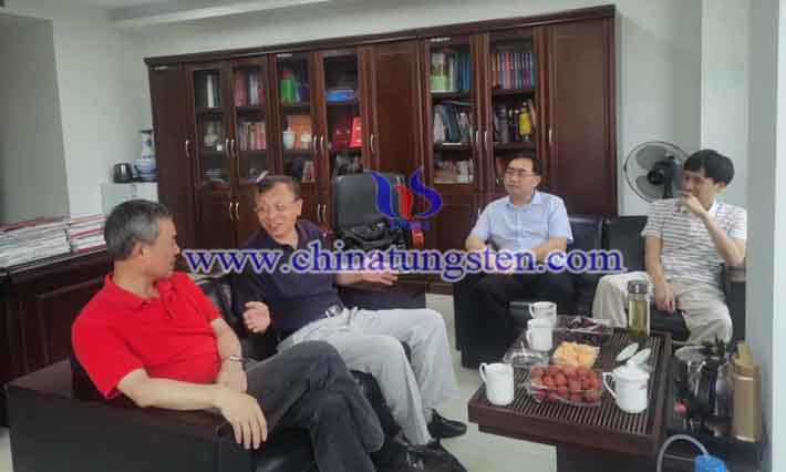 鎢協(xié)會長丁學全一行到江西調(diào)研圖片