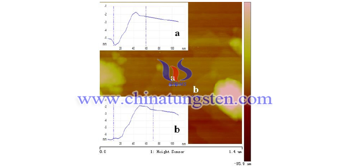 AFM image of h WO3 ultra thin nanosheet