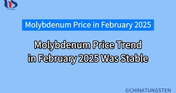 molybdenum price trend in february 2025 was stable