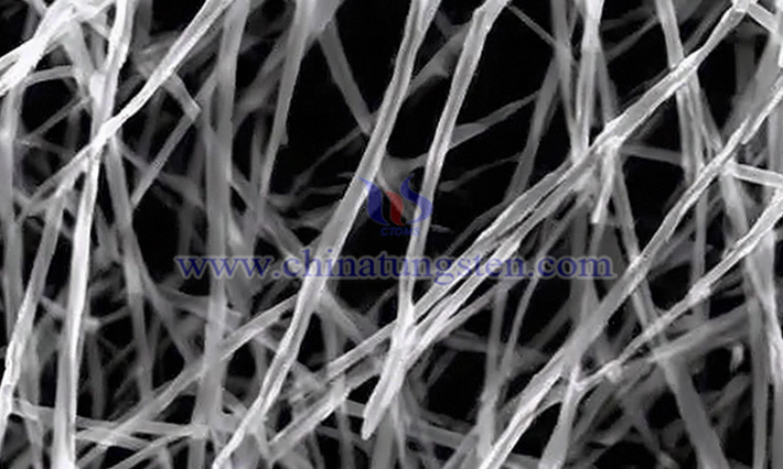Nanowire image