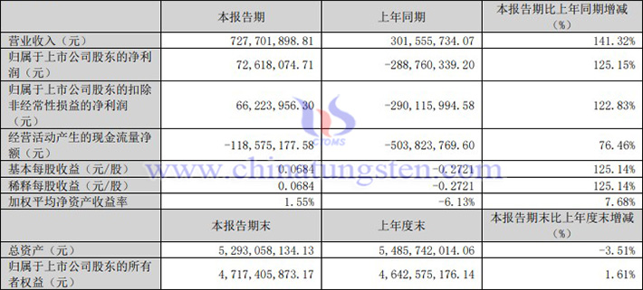 China Rare Earth performance in Q1 2025 picture