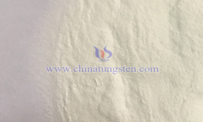 CTIA GROUP LTD AMT image