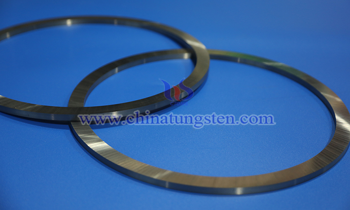 Picture of Tungsten Carbide Sealing Rings