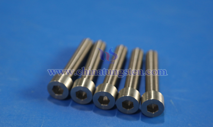 CTIA GROUP LTD tungsten alloy fastener screw picture