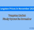 what will the tungsten price be in november 2025