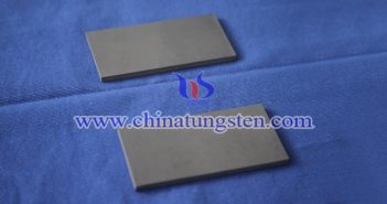 耐放射線高分子タングステン像