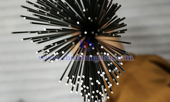 タングステン針畫(huà)像