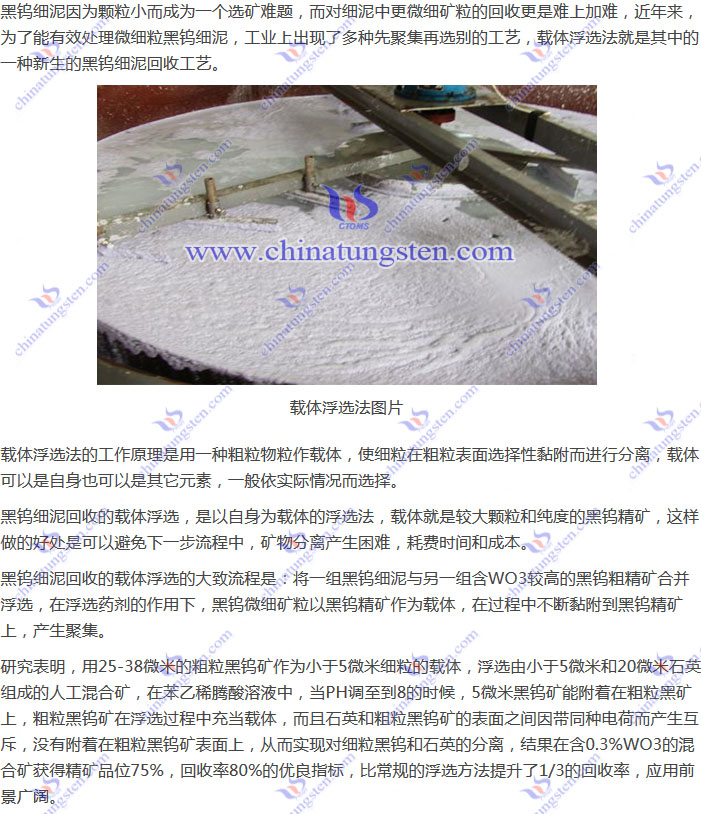 黑鎢細泥回收-載體浮選法圖片