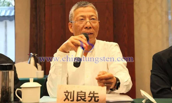 中國(guó)鎢業(yè)協(xié)會(huì)副會(huì)長(zhǎng)兼秘書(shū)長(zhǎng)劉良先講話(huà)