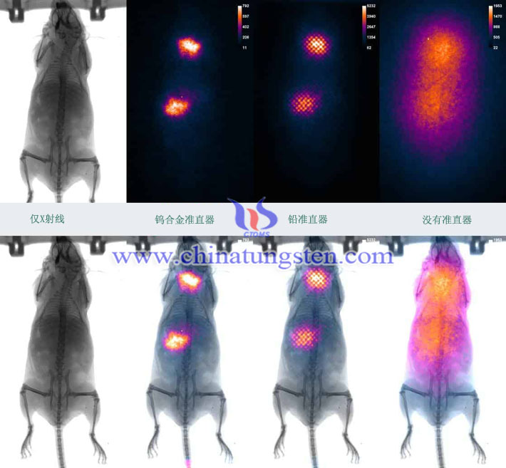 X射線探測(cè)器用鎢合金準(zhǔn)直儀圖片