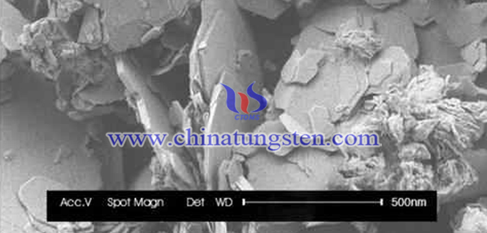 金-二硫化鎢復(fù)合催化劑用二硫化鎢納米片圖片