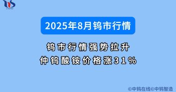 2025年8月鎢市行情如何